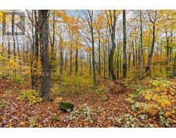 569263 Sideroad 6 Road, Blue Mountains, ON N0H2E0 Photo 42