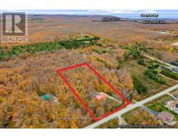 569263 Sideroad 6 Road, Blue Mountains, ON N0H2E0 Photo 43