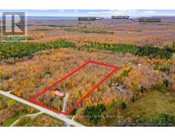 569263 Sideroad 6 Road, Blue Mountains, ON N0H2E0 Photo 47