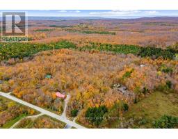 569263 Sideroad 6 Road, Blue Mountains, ON N0H2E0 Photo 48