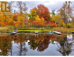 30 Cove Road, Kawartha Lakes, ON K0M1N0 Photo 38