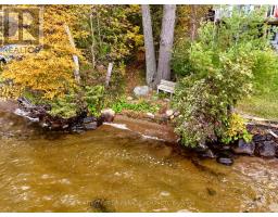 30 Cove Road, Kawartha Lakes, ON K0M1N0 Photo 42