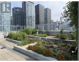 1711 - 352 Front Street W, Toronto, ON M5V0K3 Photo 20