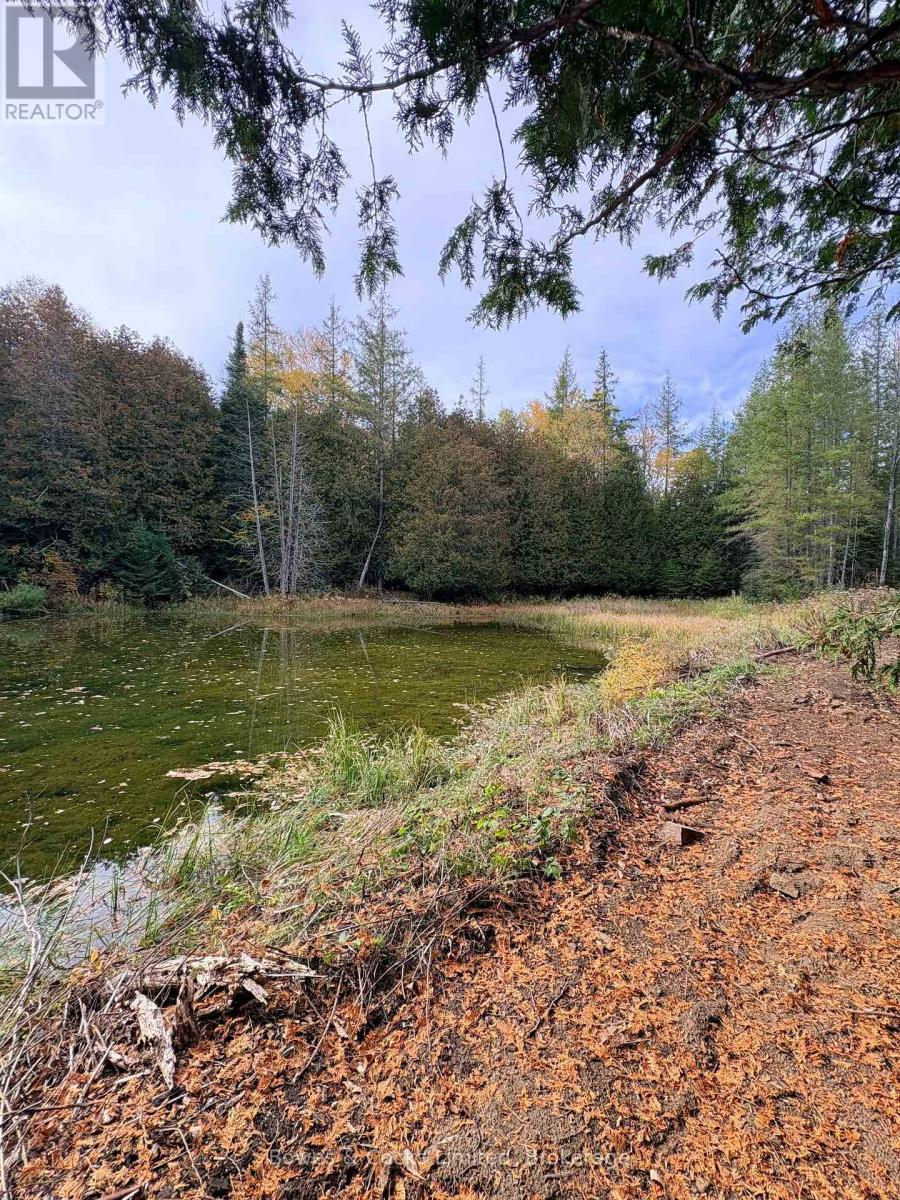 1350 Madill Road, Highlands East, ON photo 22
