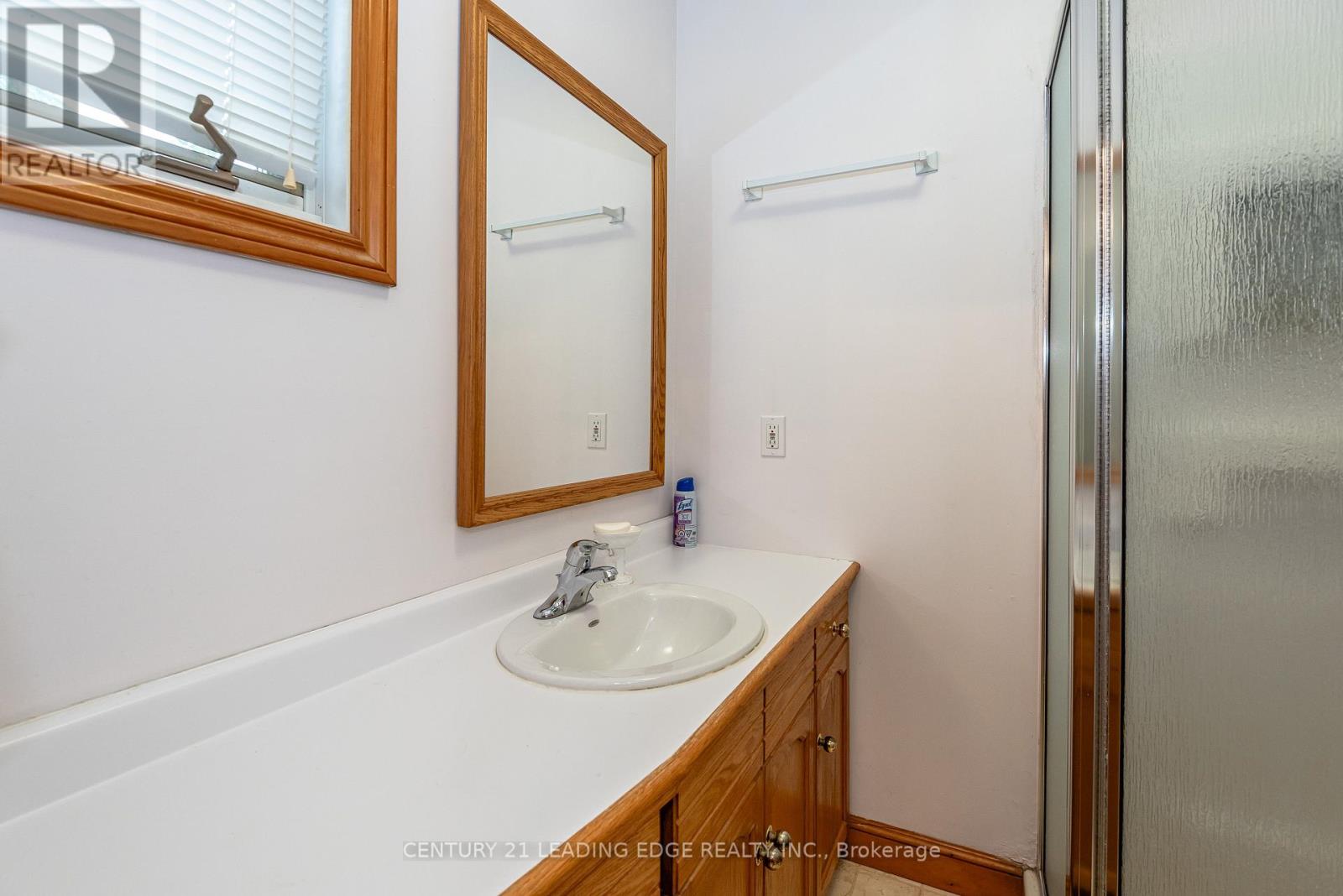 62 North Street, Georgina, ON photo 13