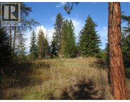5585 Silver Star Road, Vernon, BC V1B3P7 Photo 13