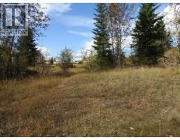 5585 Silver Star Road, Vernon, BC V1B3P7 Photo 11