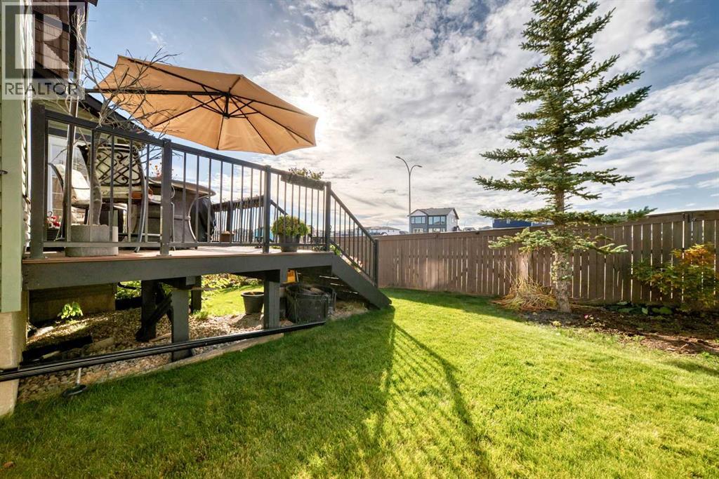 Mature Evergreen Beside The Rear Deck