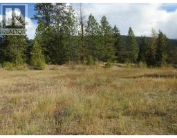 Lot 43 Silver Star Road, Vernon, BC V1B3P7 Photo 7