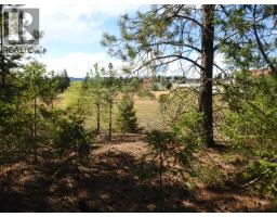 Lot 43 Silver Star Road, Vernon, BC V1B3P7 Photo 27