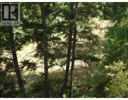 Lot 43 Silver Star Road, Vernon, BC V1B3P7 Photo 12