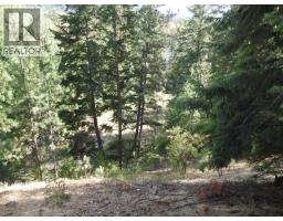Lot 43 Silver Star Road, Vernon, BC V1B3P7 Photo 29