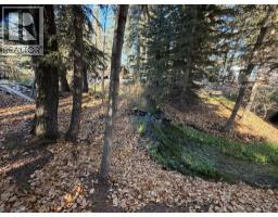 20 & 21, 200 4 Avenue Sw, Sundre, AB T0M1X0 Photo 37