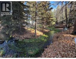 20 & 21, 200 4 Avenue Sw, Sundre, AB T0M1X0 Photo 38