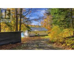 Bedroom 3 - 56 Gilmour Point Road, North Kawartha, ON K0L1A0 Photo 7