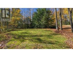 Recreational, Games room - 56 Gilmour Point Road, North Kawartha, ON K0L1A0 Photo 9