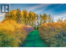 A, 225036 Range Road 282, Rural Rocky View County, AB T1X0H9 Photo 42