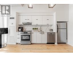 306 - 55 Stewart Street, Toronto, ON M5V2V1 Photo 10