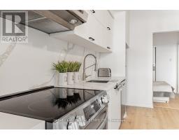 306 - 55 Stewart Street, Toronto, ON M5V2V1 Photo 12