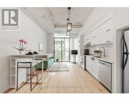 306 - 55 Stewart Street, Toronto, ON M5V2V1 Photo 6