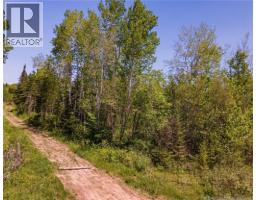 Lot Creek Road, photo 2