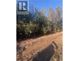 Lot Creek Road, photo 6