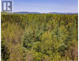 Lot Creek Road, photo 4