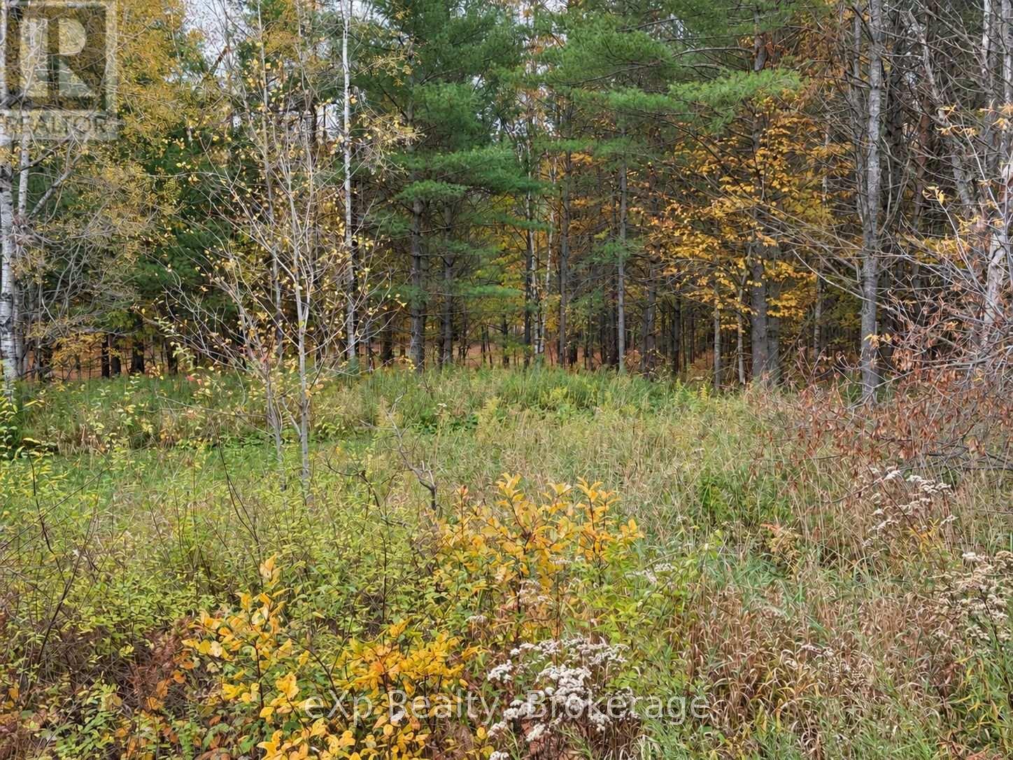 1003 SILVER LAKE ROAD, Gravenhurst (Muskoka (S)) — photo 2
