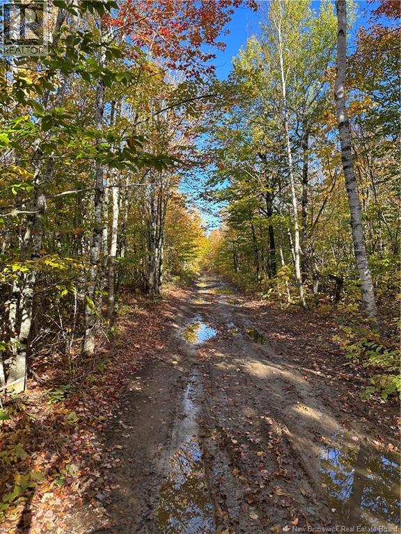 156 Russiantown Road - 9