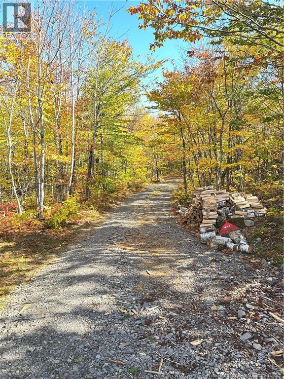 156 Russiantown Road - 40
