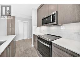 Laundry room - 2417, 395 Skyview Parkway Ne, Calgary, AB T3N2K1 Photo 8