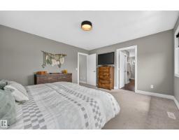3803 48 Av, Beaumont, AB T4X1C4 Photo 17