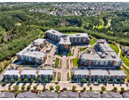 7439 May Common Nw Nw, Edmonton, AB T6R0X4 Photo 49