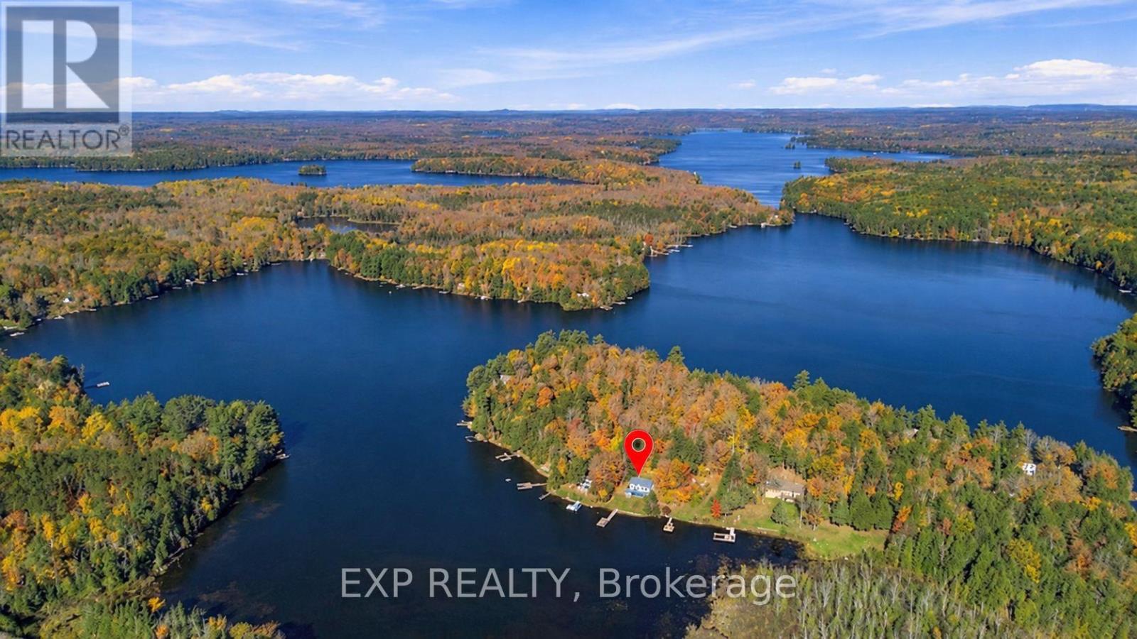 56 Gilmour Point Road, North Kawartha, ON photo 38