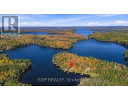 56 Gilmour Point Road, North Kawartha, ON K0L1A0 Photo 38