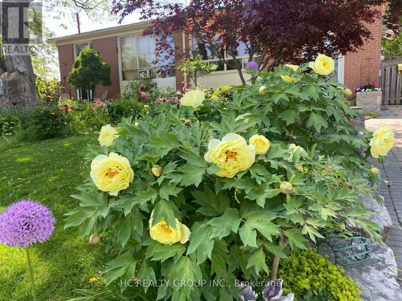 274 Browndale Crescent, Richmond Hill, ON photo 2