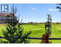 115 Speargrass Circle, Carseland, AB T0J0M0 Photo 49