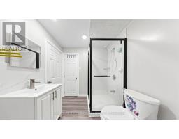 342 King William Street, Hamilton, ON L8L1P3 Photo 23