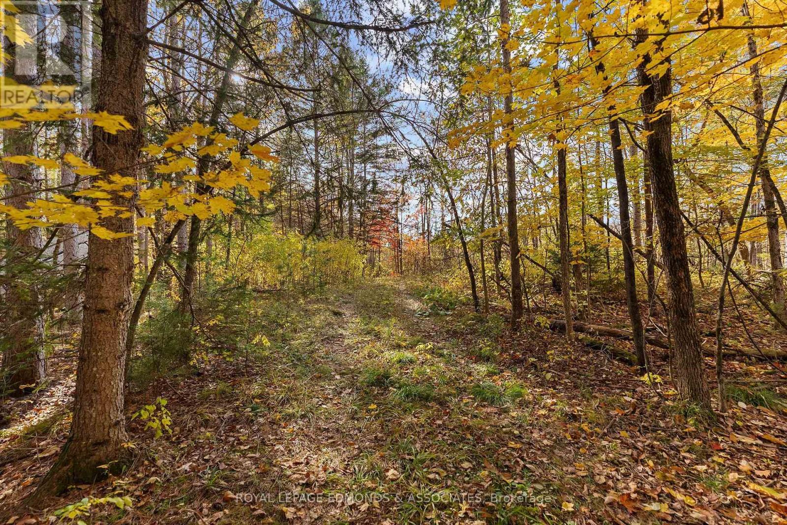 72 Hilltop Drive — photo 42