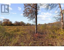 72 Hilltop Drive, Whitewater Region, ON K0J2L0 Photo 40