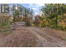 72 Hilltop Drive, Whitewater Region, ON K0J2L0 Photo 41
