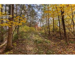 72 Hilltop Drive, Whitewater Region, ON K0J2L0 Photo 42