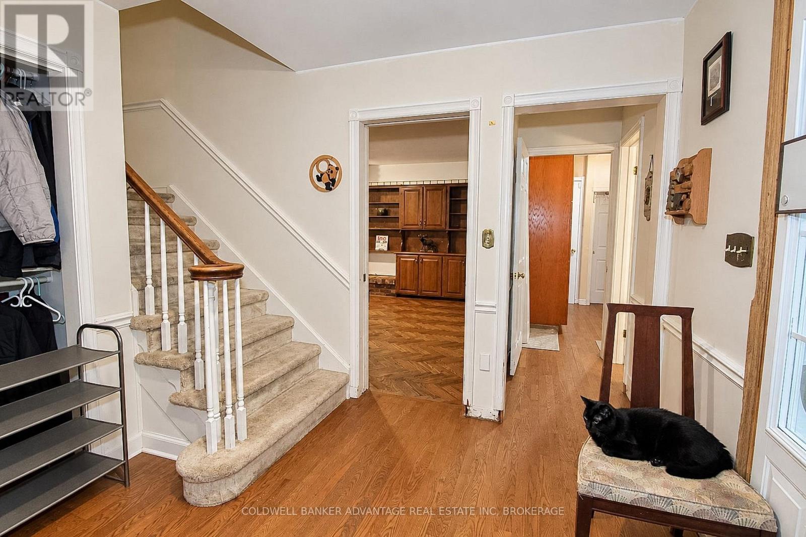 62 Stella Street — photo 20