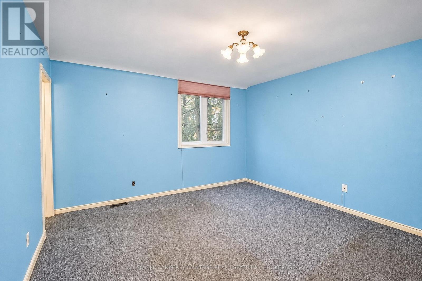 62 Stella Street — photo 28