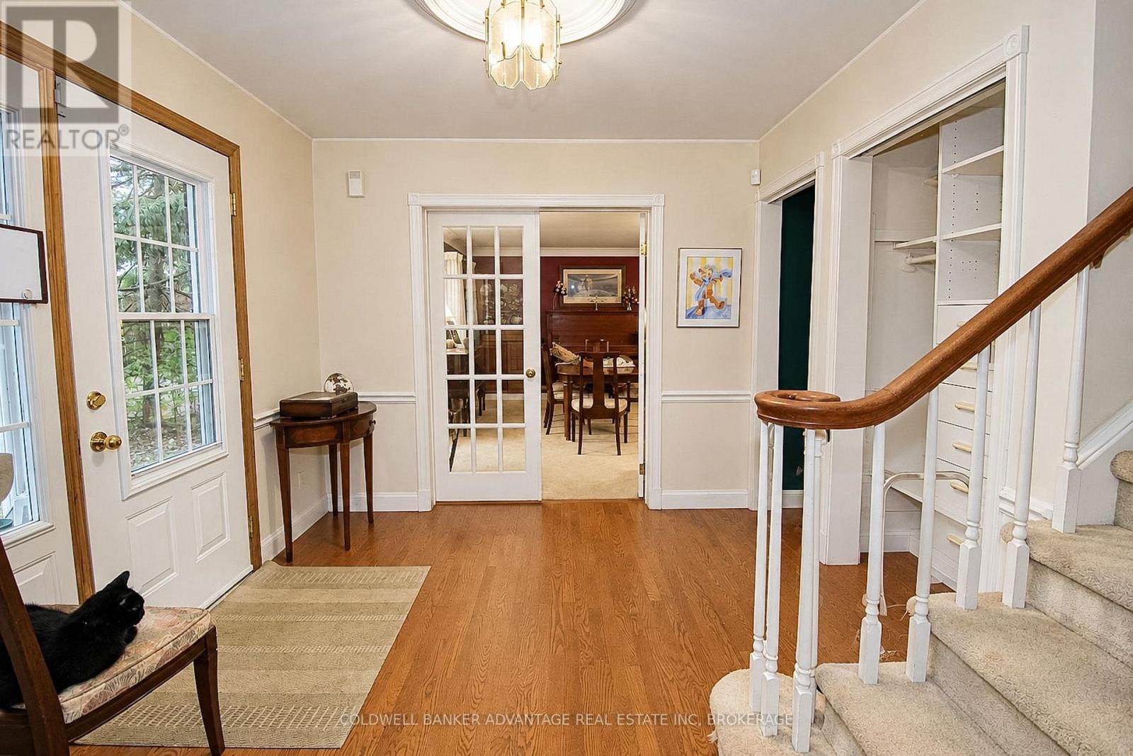 62 Stella Street — photo 7