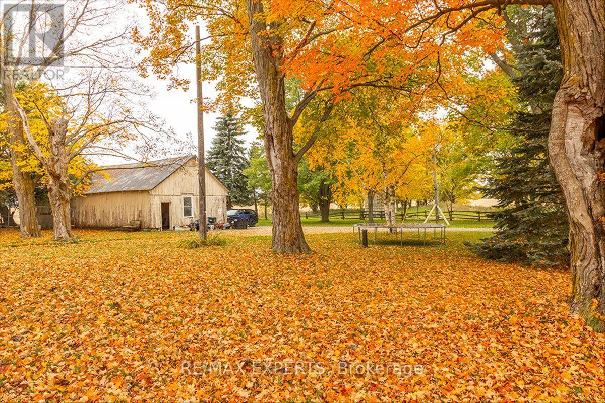5329 15th Line, New Tecumseth photo 9