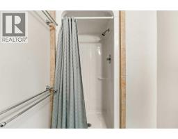 196 River Rock Crescent Se, Calgary, AB T2C4J1 Photo 39