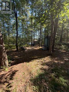 1141 Turtle Lake Road, Gravenhurst), ON photo 11