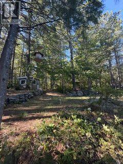 1141 Turtle Lake Road, Gravenhurst), ON photo 13
