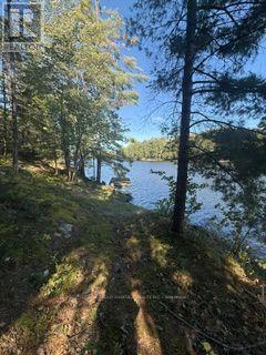 1141 Turtle Lake Road, Gravenhurst), ON photo 14